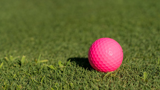 Pink golf ball on the edge of putting green