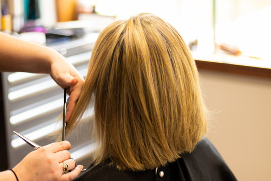 Master hair stylist cutting blonde hair of a female client with blonde highlights