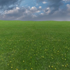 空　雲　太陽　草原　cloud,sunny,sky,sun,Prairie,grassland,grassland,grassfield