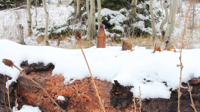 Glass bottles being shot with a gun. 