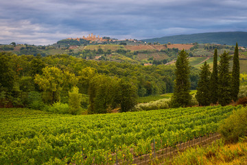 Fototapeta na wymiar Countryside surrounding San Gimignano, Tuscany