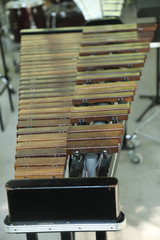 xylophone