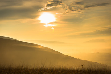 Morning fog in the springtime
