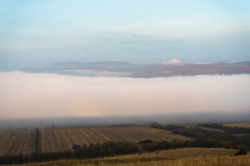 Obraz premium Morning fog
