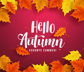 Hello autumn vector background template with autumn typography and maple leaves in red background for fall season greetings design. Vector illustration.   © AmazeinDesign