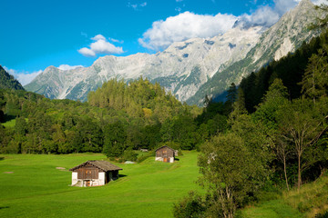 Fototapeta na wymiar Hillside farm in Swiss Alps