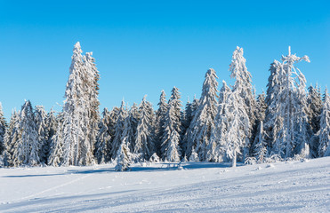 Fototapeta na wymiar Amazing winter landscape
