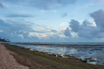 exposed coral at low tide