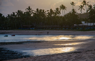 sunset over the coconut trees