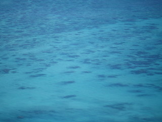 Obraz premium blue tropical ocean water background