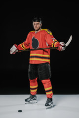 full length view of professional ice hockey player holding hockey stick and looking at camera on...