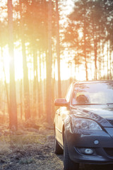 Car parked next to the wood