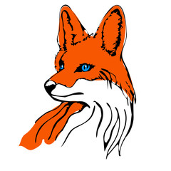 Obraz premium Contour fox vector logo, painted illustration of a fox, red color