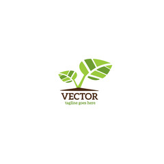 Vector green leaves.