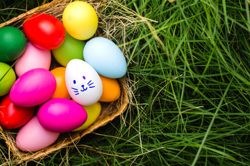 Row of Easter eggs in Fresh Green Grass