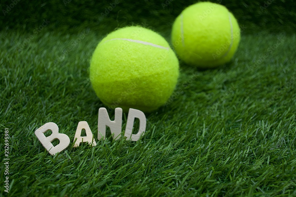 Wall mural Tennis ball with tennis wording term on green grass