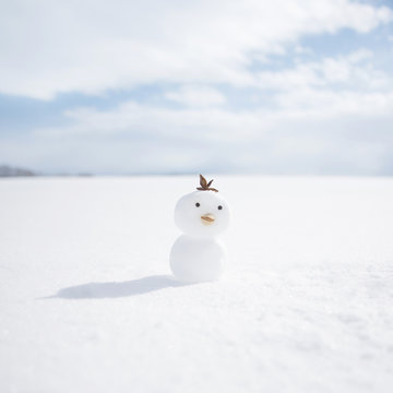 雪で作ったヒヨコ