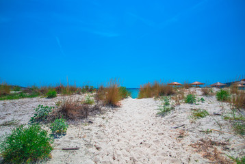 sand dunes with grass and blue sky