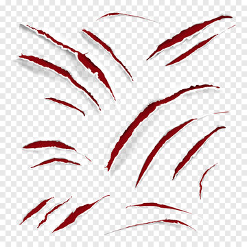 Claw scratches vector illustration of realistic red wild animal scratching with torn white texture on transparent background