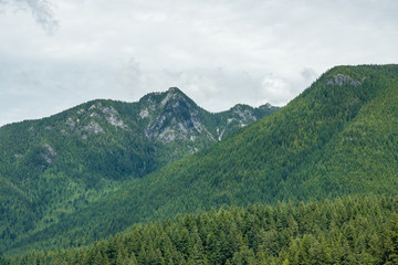 forest covered mountains under the cloudy sky