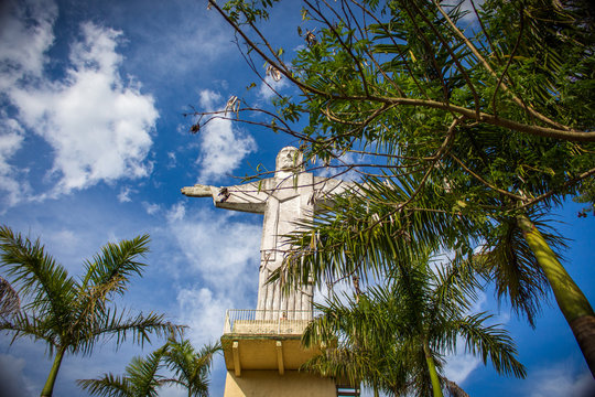 Avare Bilder Durchsuchen 498 Archivfotos, und Videos