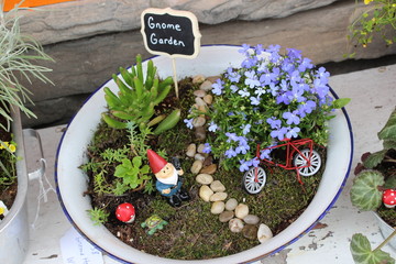 Little gnome fairy garden in a metal pan