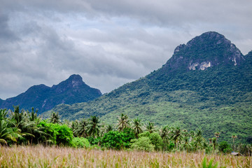 Fototapeta premium The road is surrounded by mountains. Beautiful on the go. It is a pleasure to travel one way.