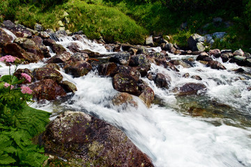 Beautiful mountain river High tatras mountains Slovakia