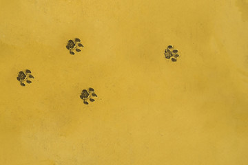Cat footprint on yellow cement floor. Background and texture of cat footprint on yellow cement.