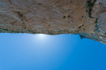 Fresh snow in forest