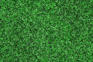 Texture of a football field