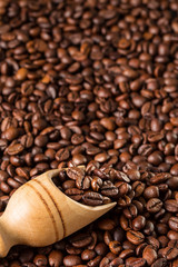 roasted coffee beans on wooden scoop, close up