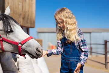 Obraz premium side view of kid feeding white horse at farm