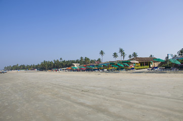 Tropical landscape the seashore with palm trees
