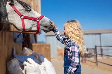 side view of child touching horse at ranch