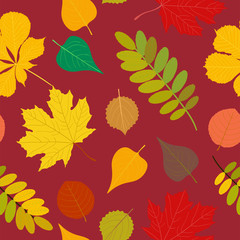 Seamless Autumn pattern Orange, yellow, brown red fall forest rowan, birch, tree leaves and herbs. Wallpaper, background beautiful, cute, trendy bright print