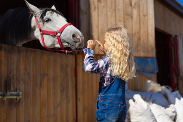 side view of kid touching horse at farm