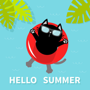 Hello Summer. Black cat floating on red air pool water circle. Sunglasses. Lifebuoy. Palm tree leaf. Cute cartoon relaxing character. Water waves. Flat design.