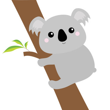 Koala face head hanging on eucalyptus tree. Gray silhouette. Kawaii animal. Cute cartoon bear character. Funny baby with eyes, nose, ears. Love Greeting card. Flat design. White background Isolated.