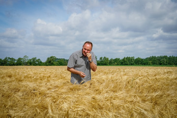 Getreideernte - Landwirt überprüft Reifegrad des Getreidekorns mittels Bisstest
