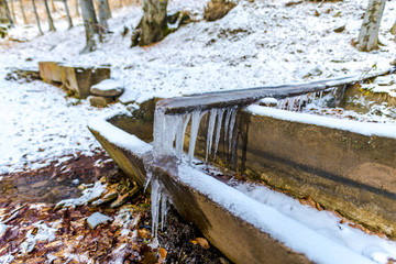 Winter landscape 