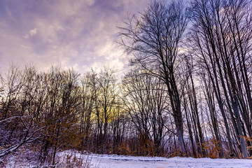 Coild winter landscape