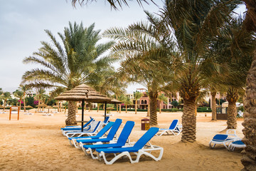Beach with palms and umbrellas in a Windy and cloudy day