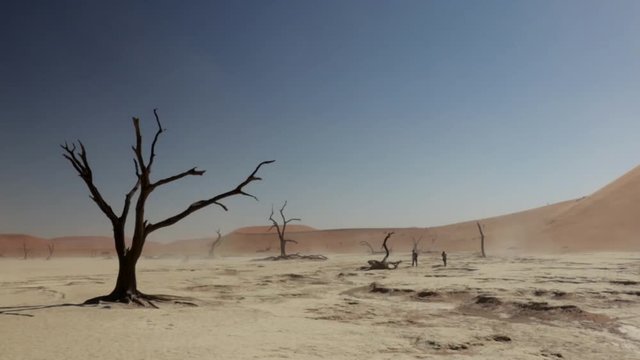 Sand and dust storm in deadvlei (Sossusvlei), natural landmark in Namibia desert, Africa