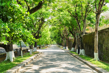 Fototapeta na wymiar Beautiful green shady street at the Imperial City, Hue, Vietnam
