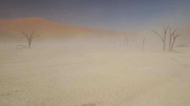 Sand and dust storm in deadvlei (Sossusvlei), natural landmark in Namibia desert, Africa