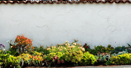 Garden wall with a multitude of variety of succulents and plants exhibiting a beautiful home landscaping plan.