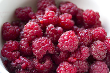 ripe red raspberry