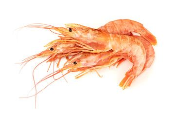 Overhead photo of three raw shrimps on white, with copy space © laplateresca