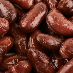 Surface coated with the kidney beans